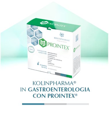 Prointex novità 2026